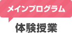 メインプログラム　体験授業
